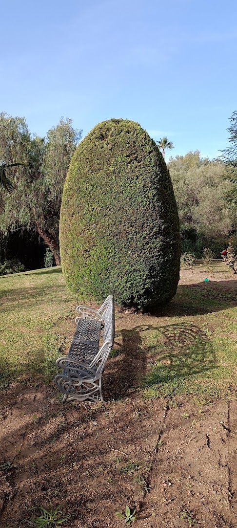 Dream Garden Services — Fotos 11