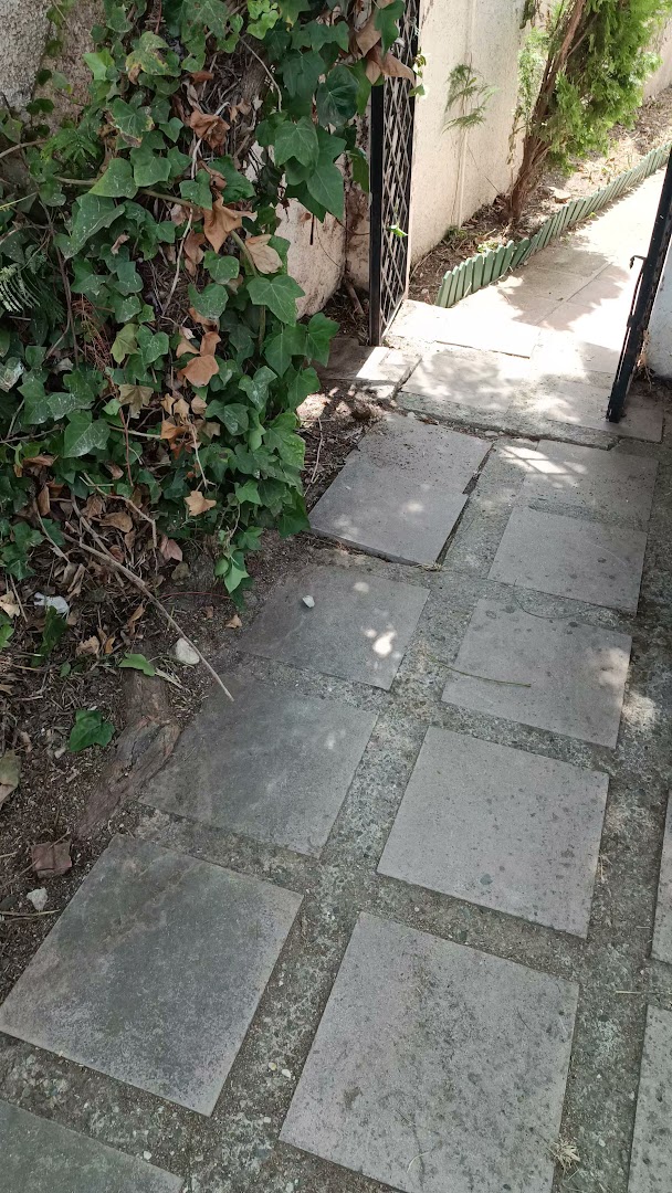 Dream Garden Services — Fotos 8