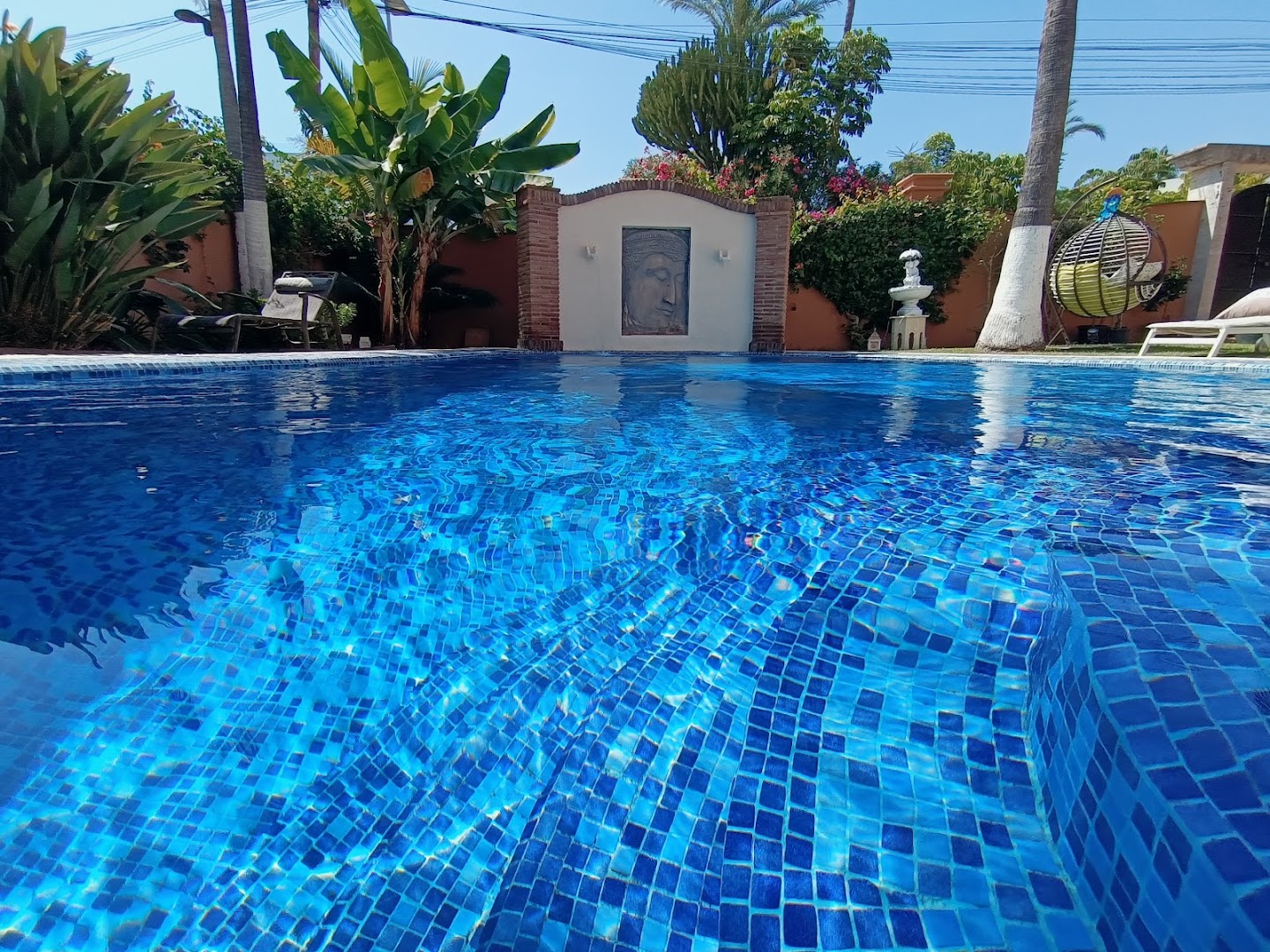 Dream Garden Services — Fotos 12