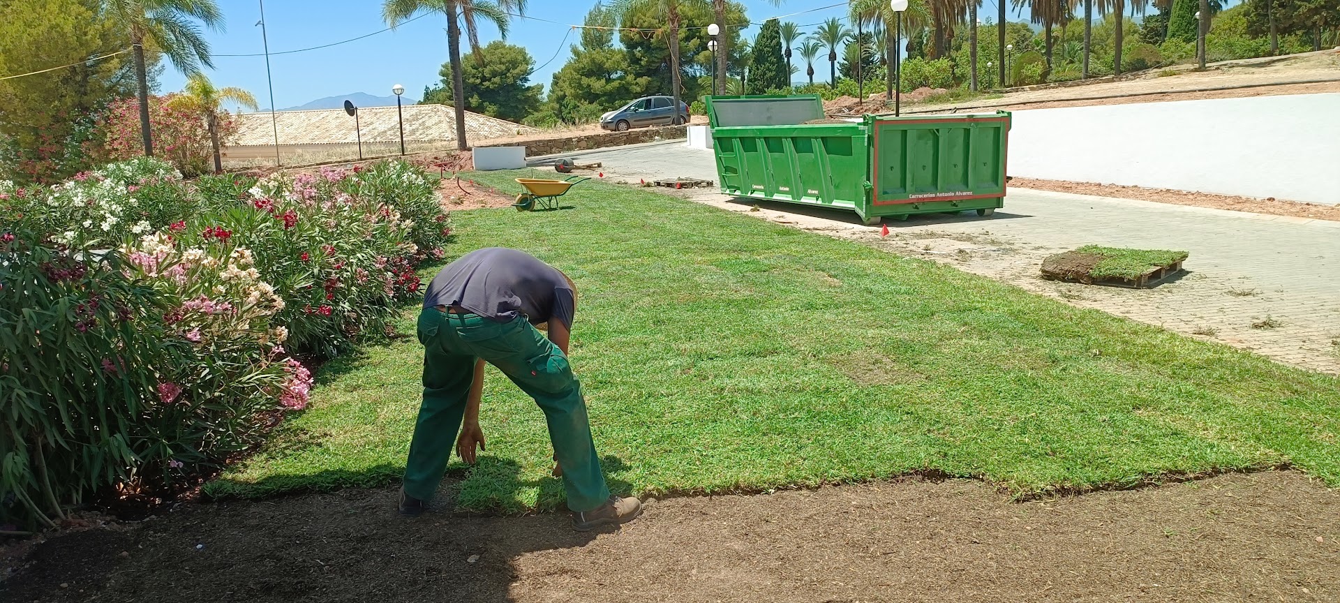 Dream Garden Services — Fotos 14