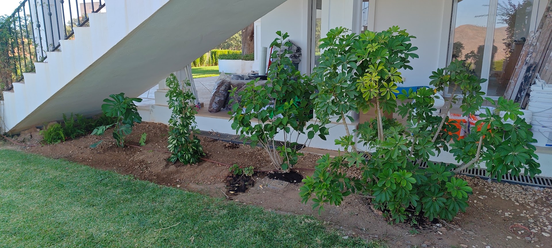 Dream Garden Services — Fotos 9