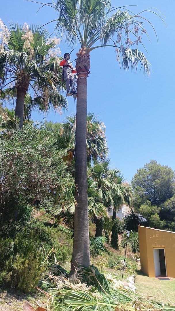 Dream Garden Services — Fotos 1